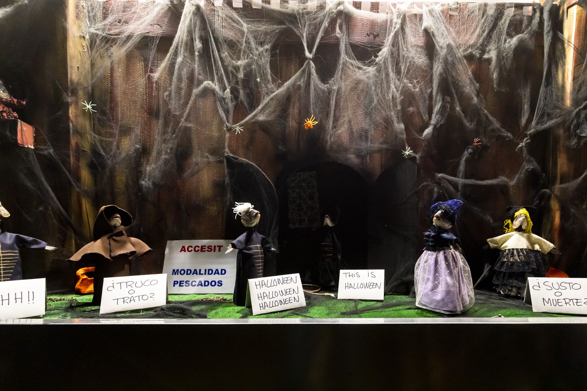 Halloween y Tosantos en Cádiz 51 Halloween y Tosantos en Cádiz 51