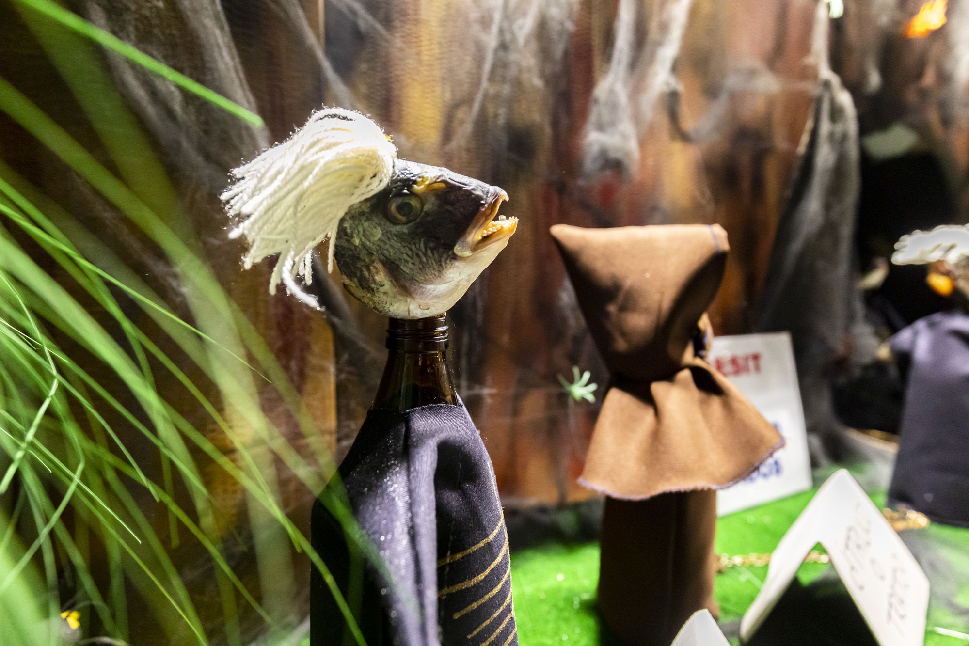 Halloween y Tosantos en Cádiz 55 Halloween y Tosantos en Cádiz 55