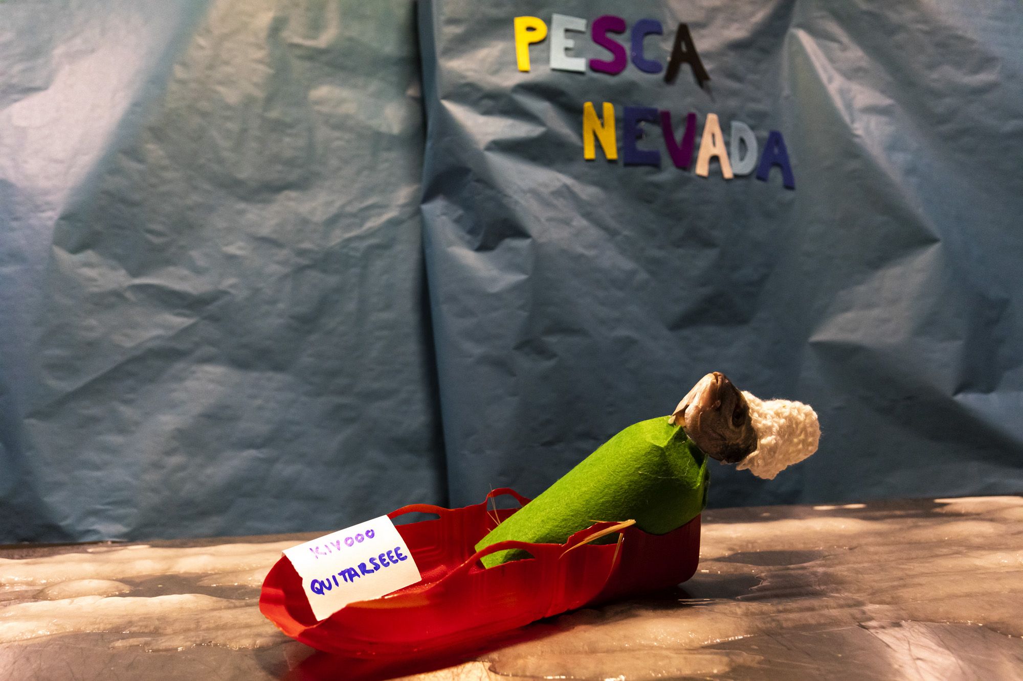 Halloween y Tosantos en Cádiz 59 Halloween y Tosantos en Cádiz 59