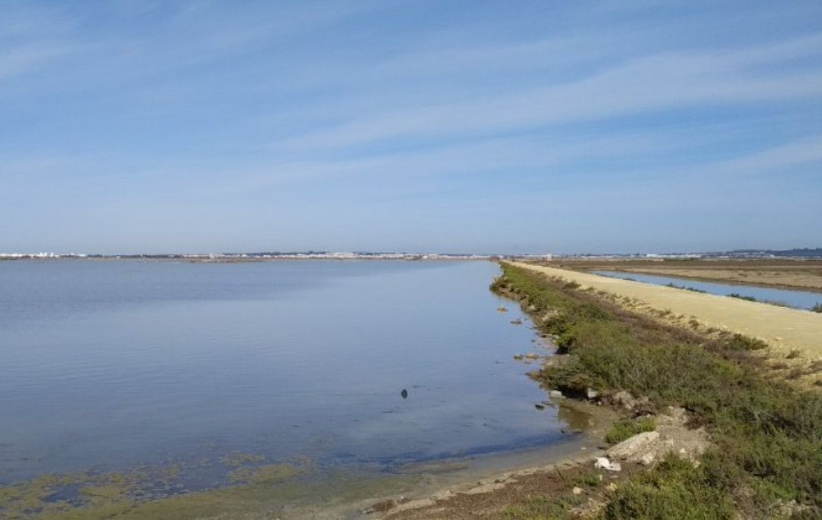 Salina marismas de Cetina en Puerto Real.  MNTK