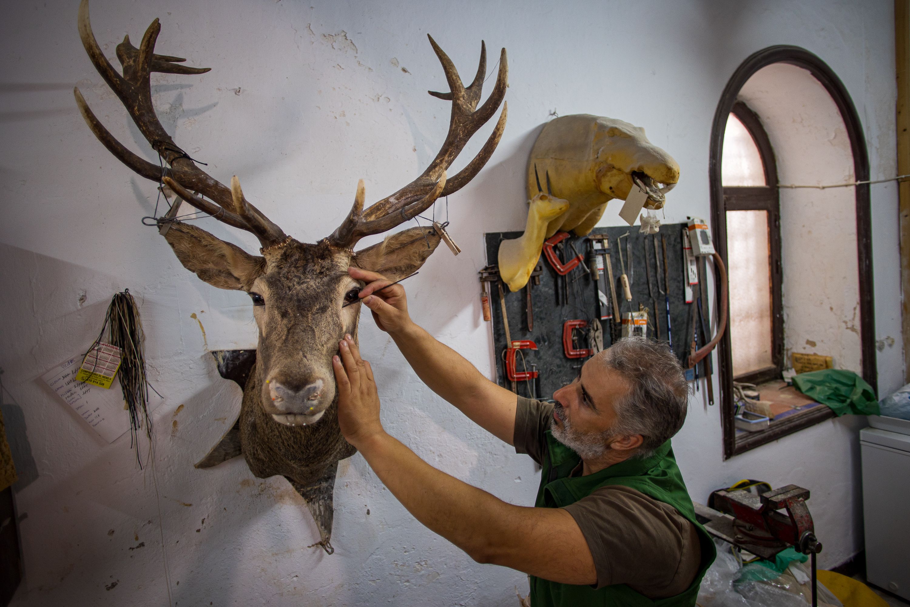 Ramón Franco, la nueva generación al frente del taller, en pleno trabajo de naturalización.