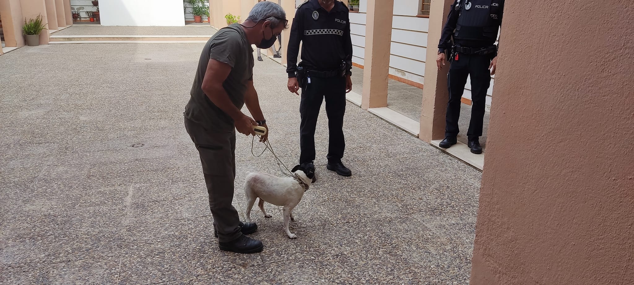El perro rescatado en Jerez tras más de una semana solo.