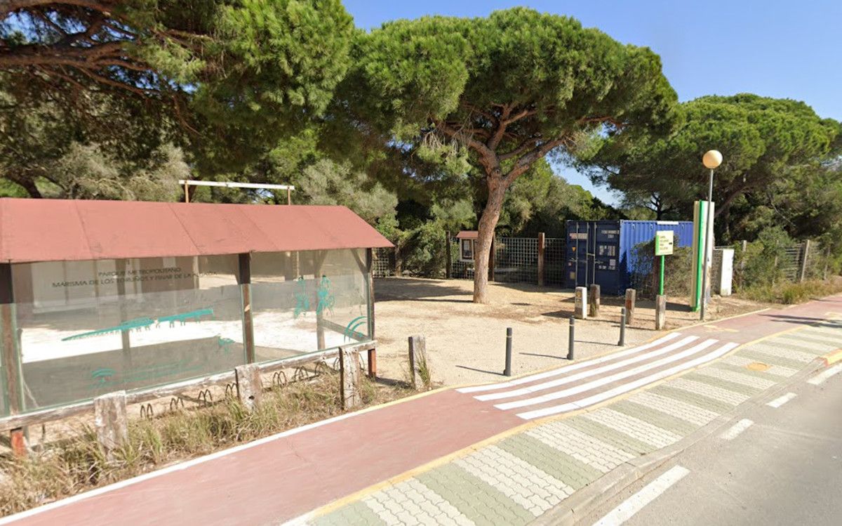 Avenida Argentina, donde la vecina ha sufrido la caída.