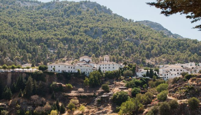 Grazalema, donde vive el pinsapo.