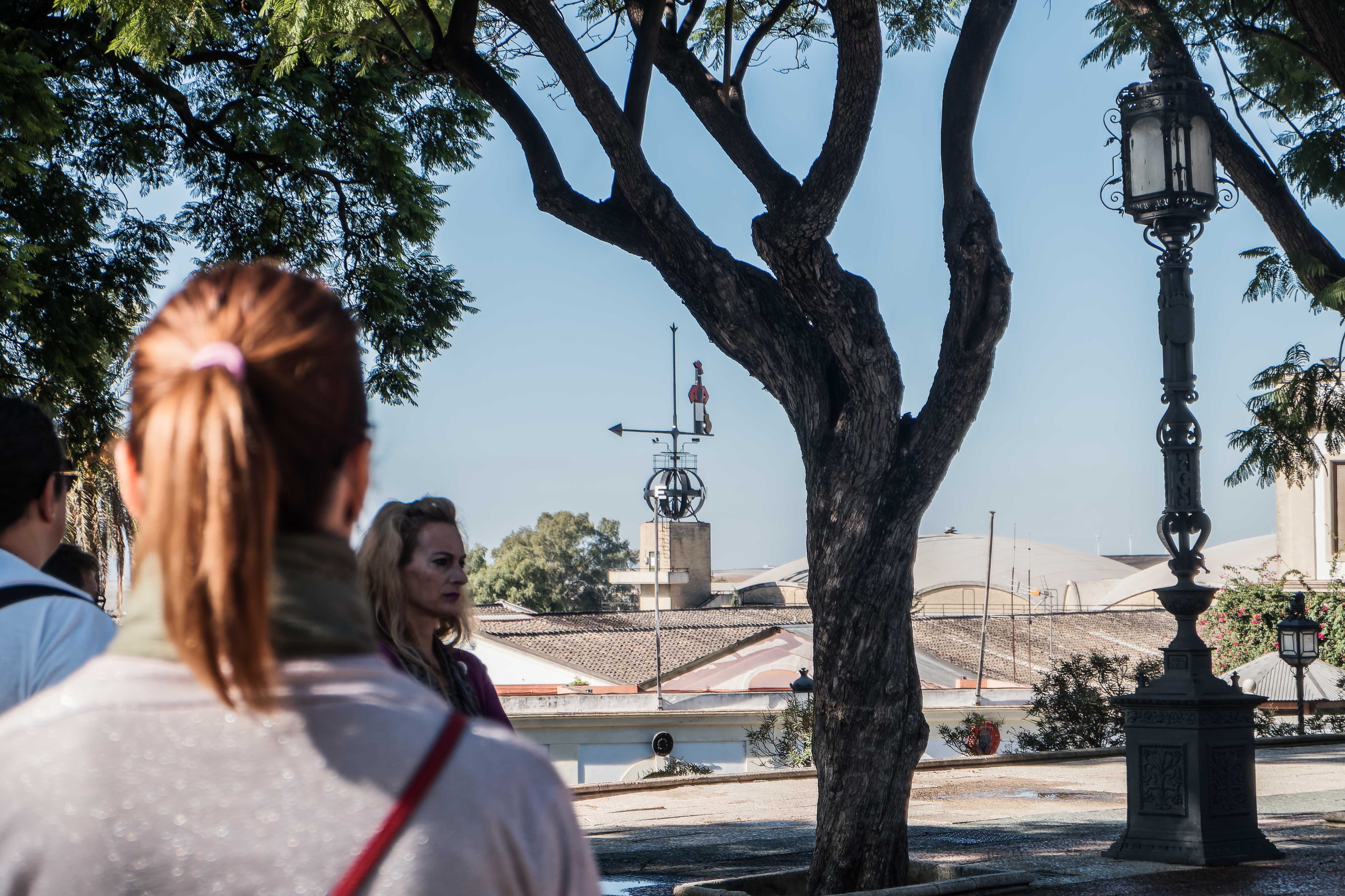 VISITA TURÍSTICA VINO JEREZ 3