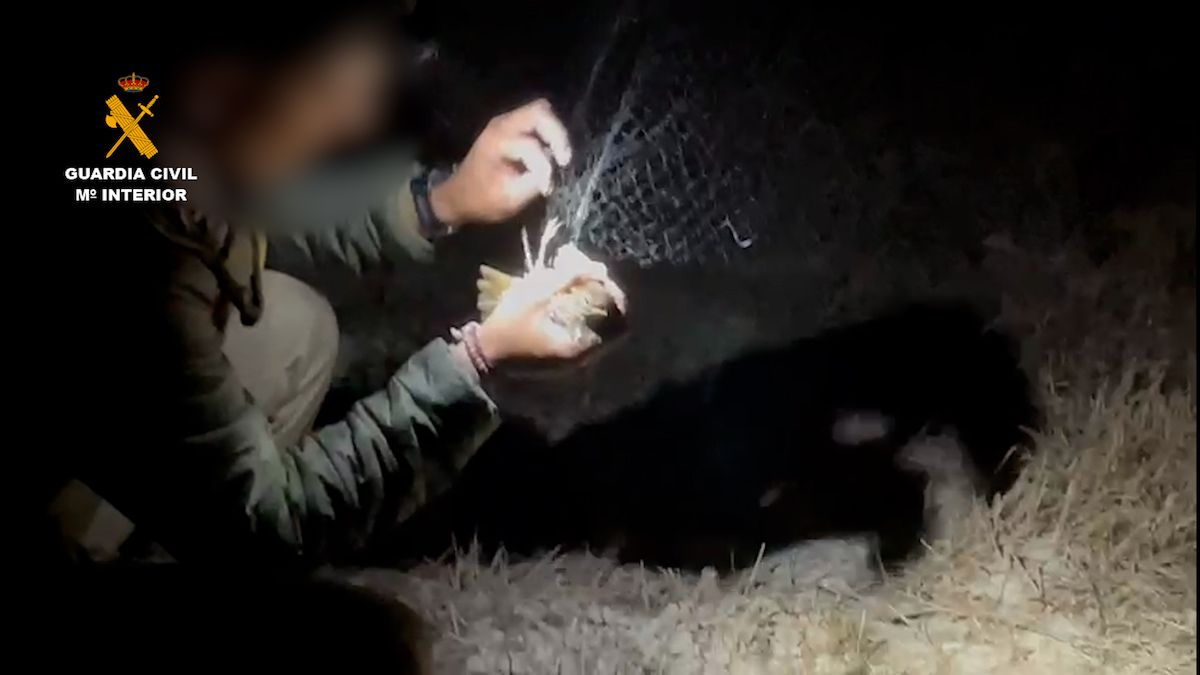 La Guardia Civil con uno de los zorzales cazados.