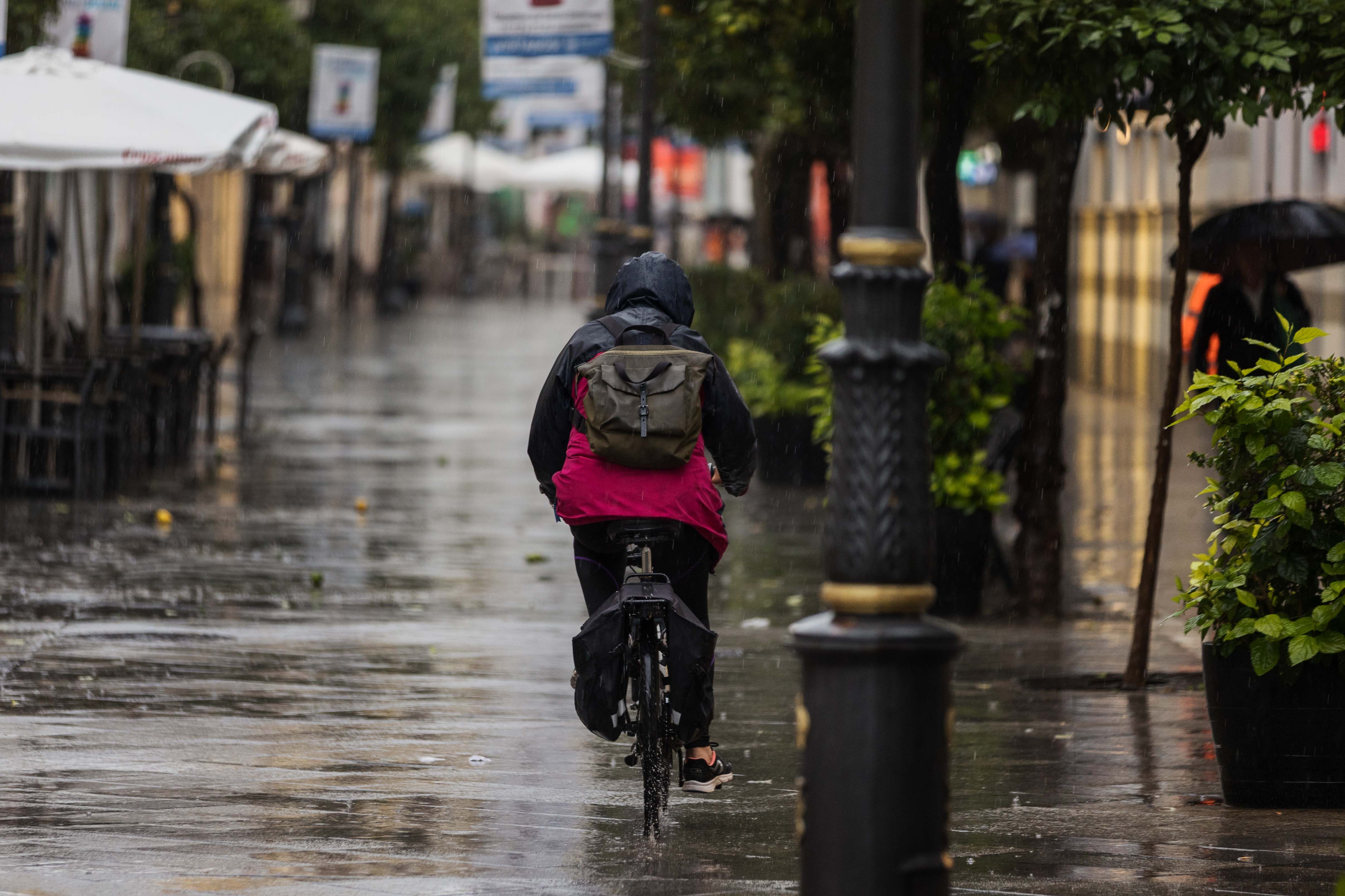 Lluvia en Jerez.  Efímero respiro a la sequía en Cádiz: se espera una semana con intensas lluvias