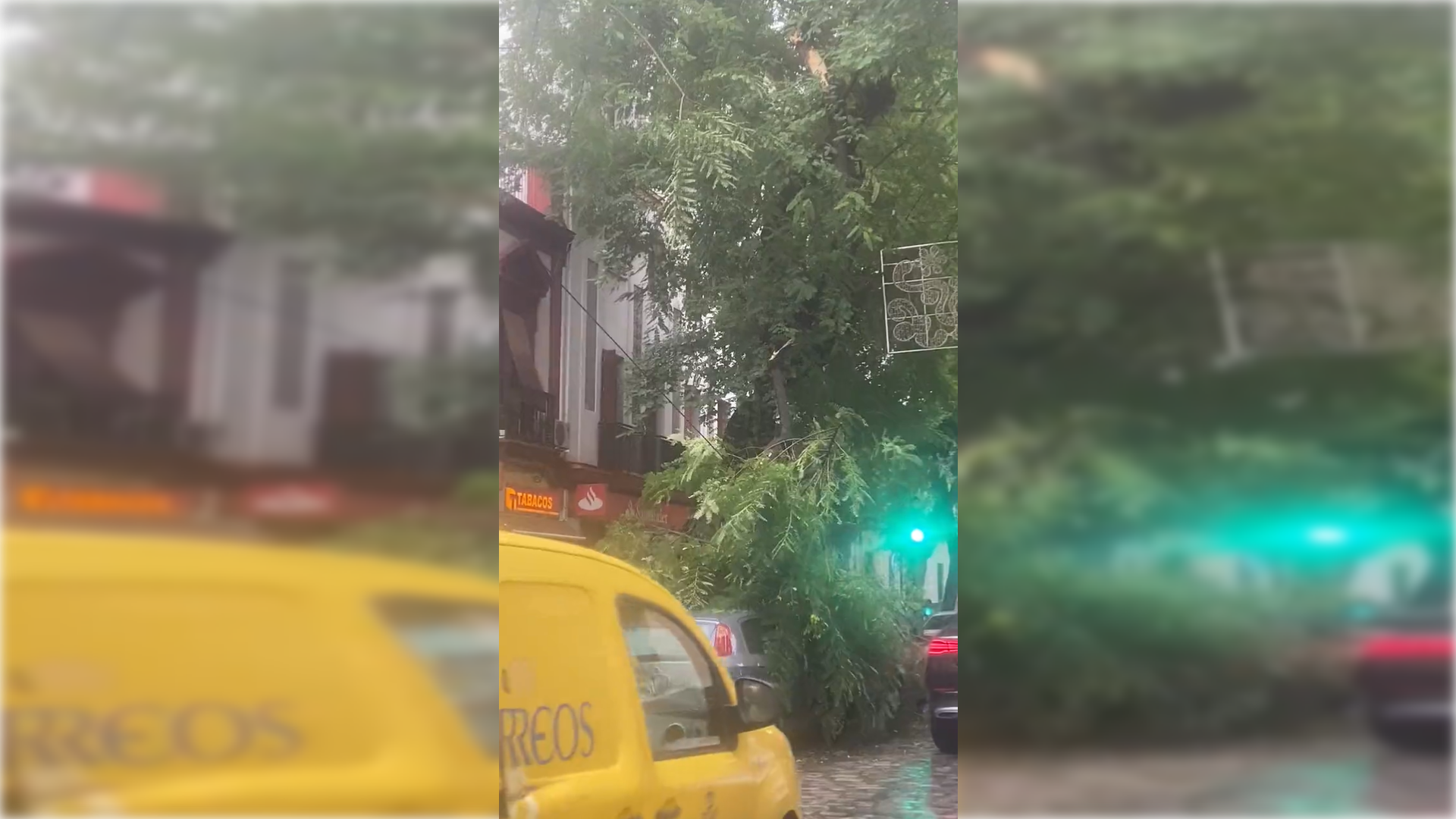 Imagen de la rama caída compartida por @PilarGavira1.