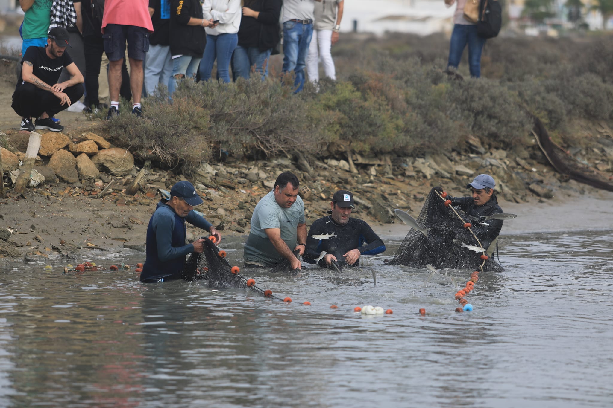 Imagen de despesque en estero en San Fernando.