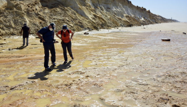 Captura de Pantalla 2022 11 10 a las 9.19.47