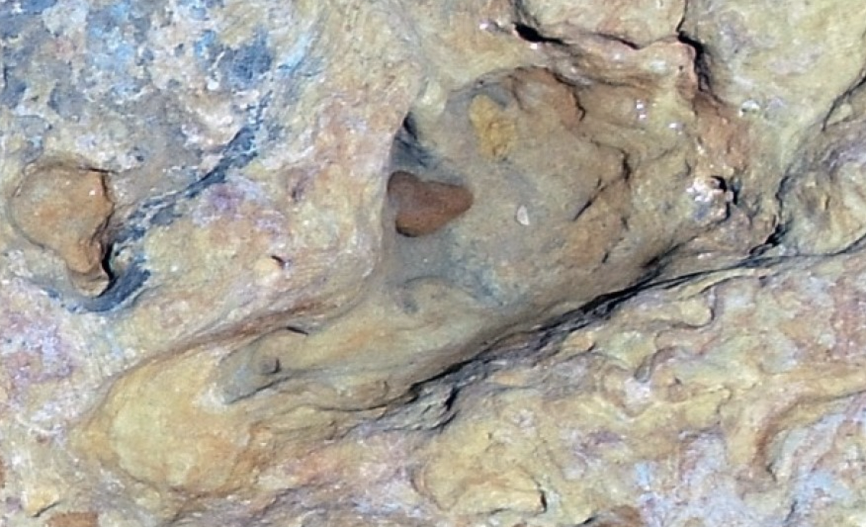 Las pisadas halladas en Matalascañas son 200.000 años más antiguas de lo que se creía.