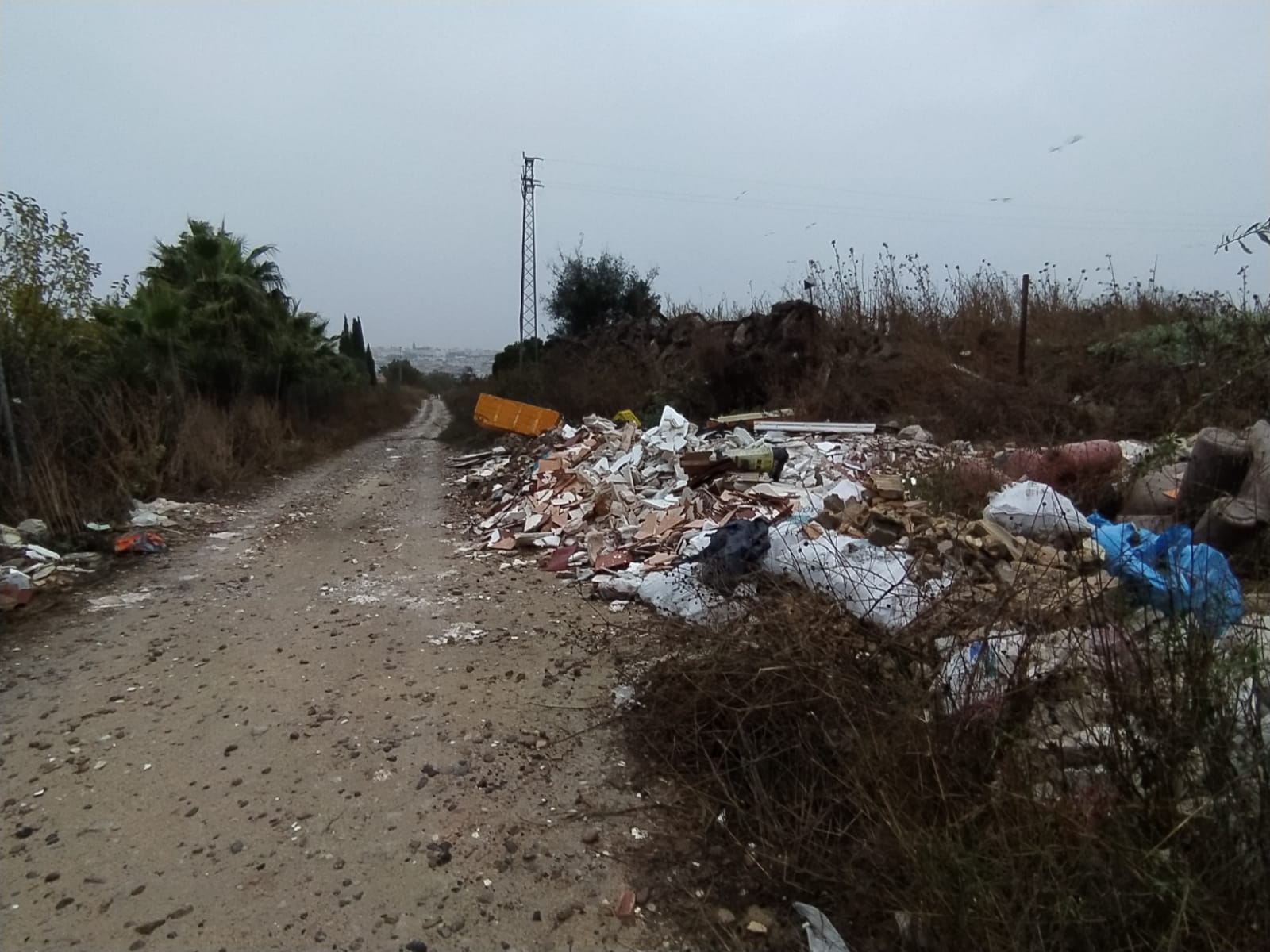 Denuncian escombreras incontroladas en Torrox: "Dejan hasta restos de plantaciones de marihuana".
