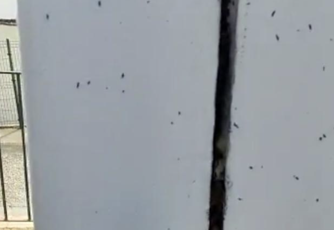 Detalle de las fisuras en Estella del Marqués.