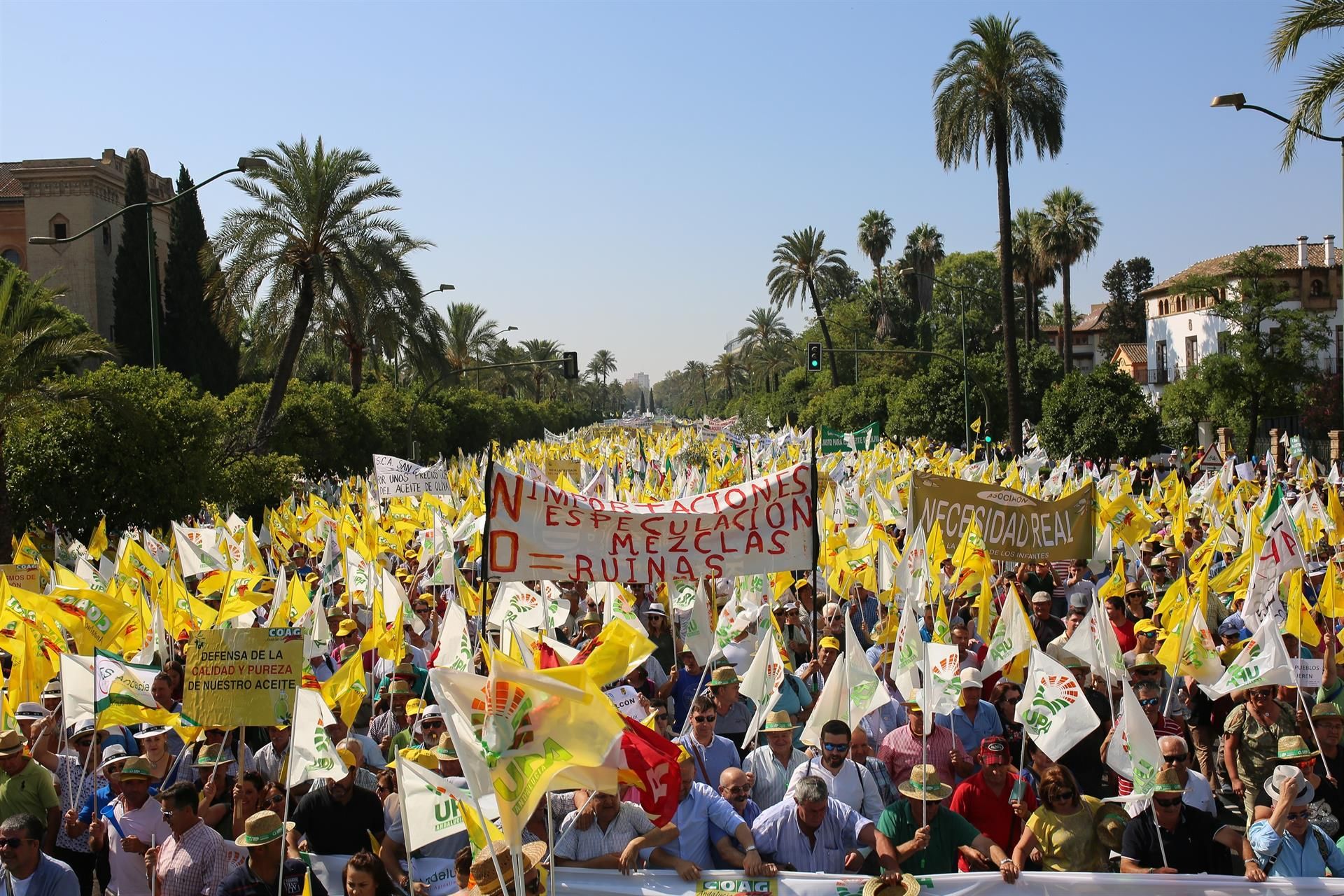 La manifestación en Sevilla de los olivareros. FOTO: EUROPA PRESS.