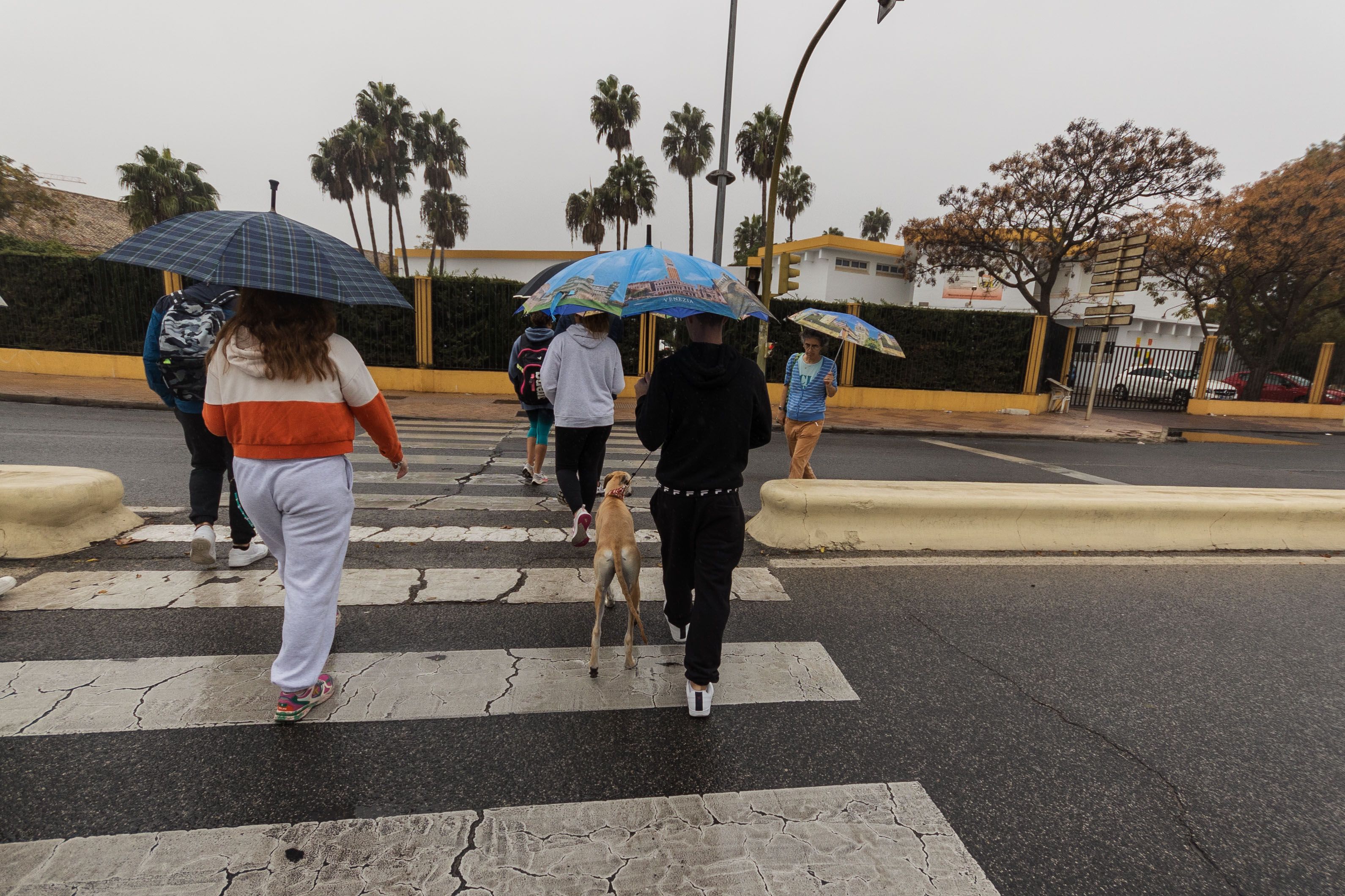 Varias personas caminan bajo la lluvia en El Puerto.