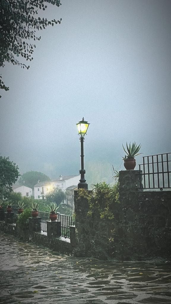 Grazalema vuelve a ser uno de los municipios más lluviosos de España. @maritalamela_s