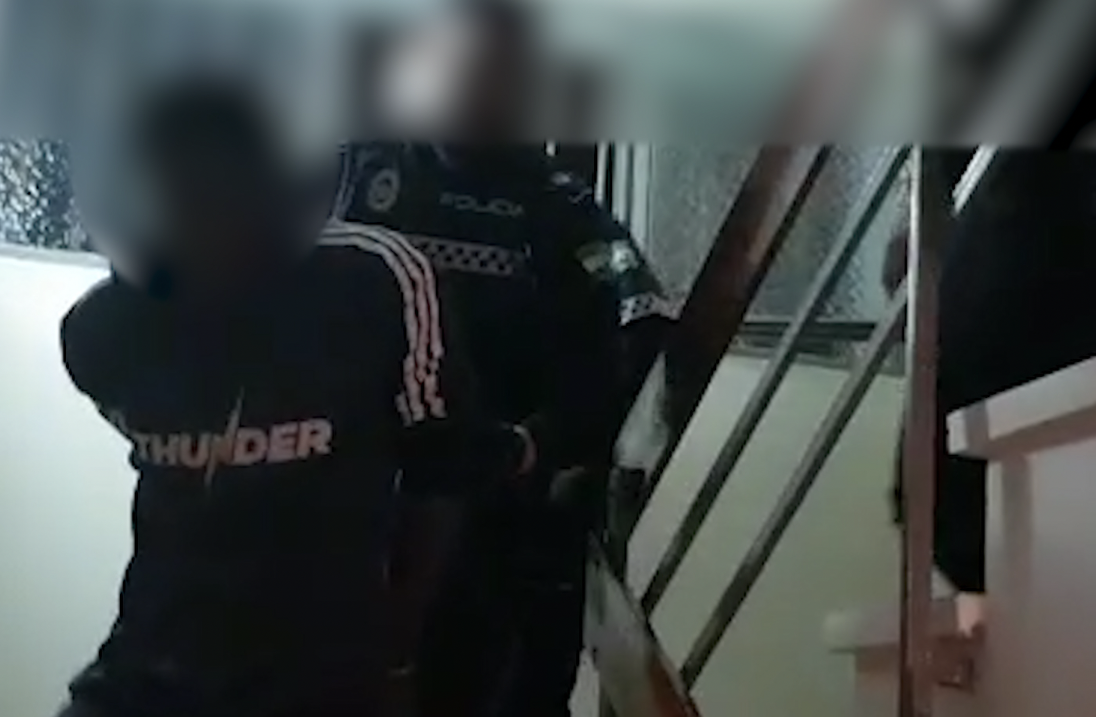 La Policía Local de Sevilla ha detinido a un varón al que pillaron robando una furgoneta e intentó huir allanando una vivienda.