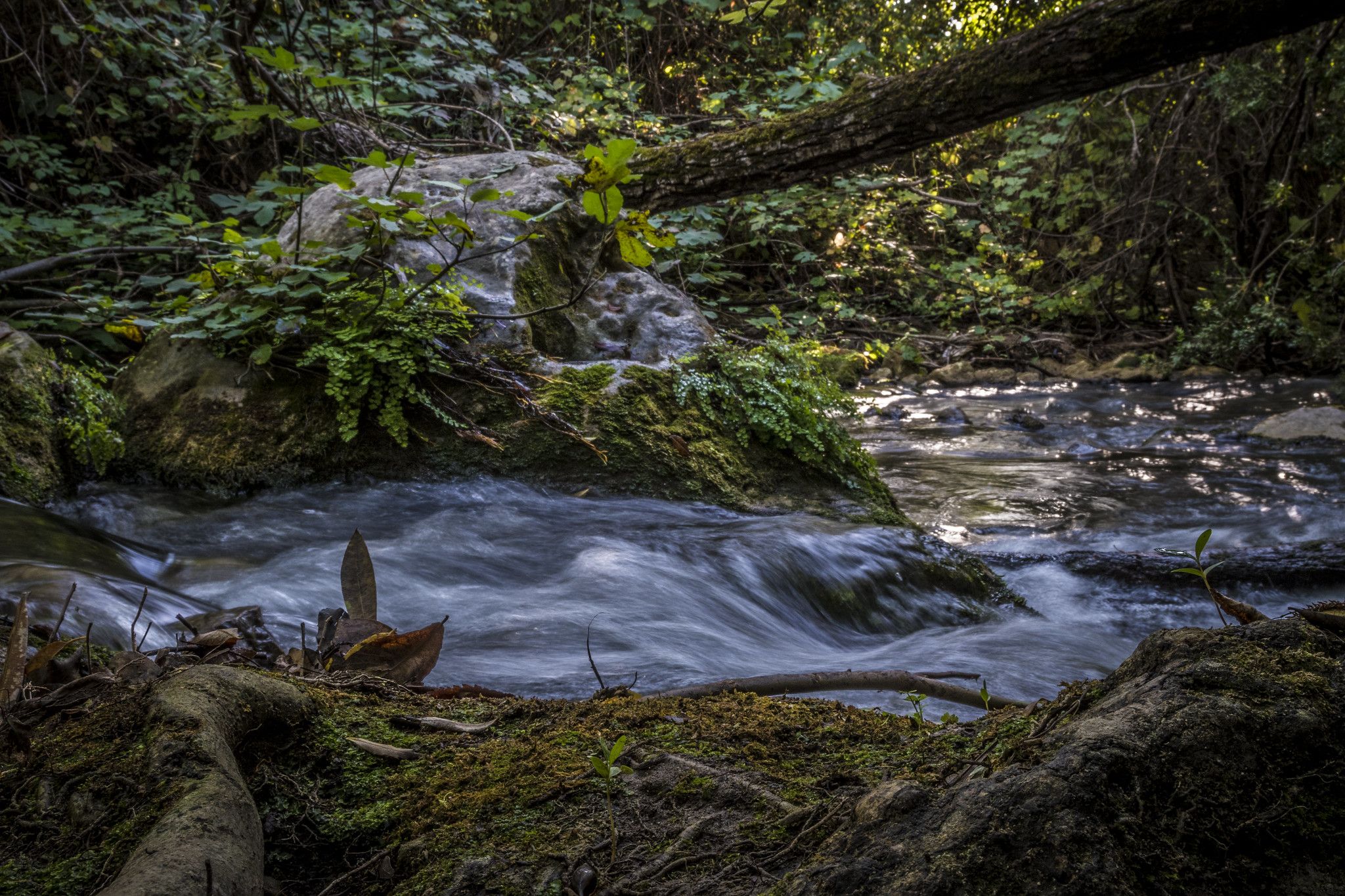 El río Majaceite, en la Sierra de Grazalema, en una imagen de Mario Naranjo Molina (Flickr.com).
