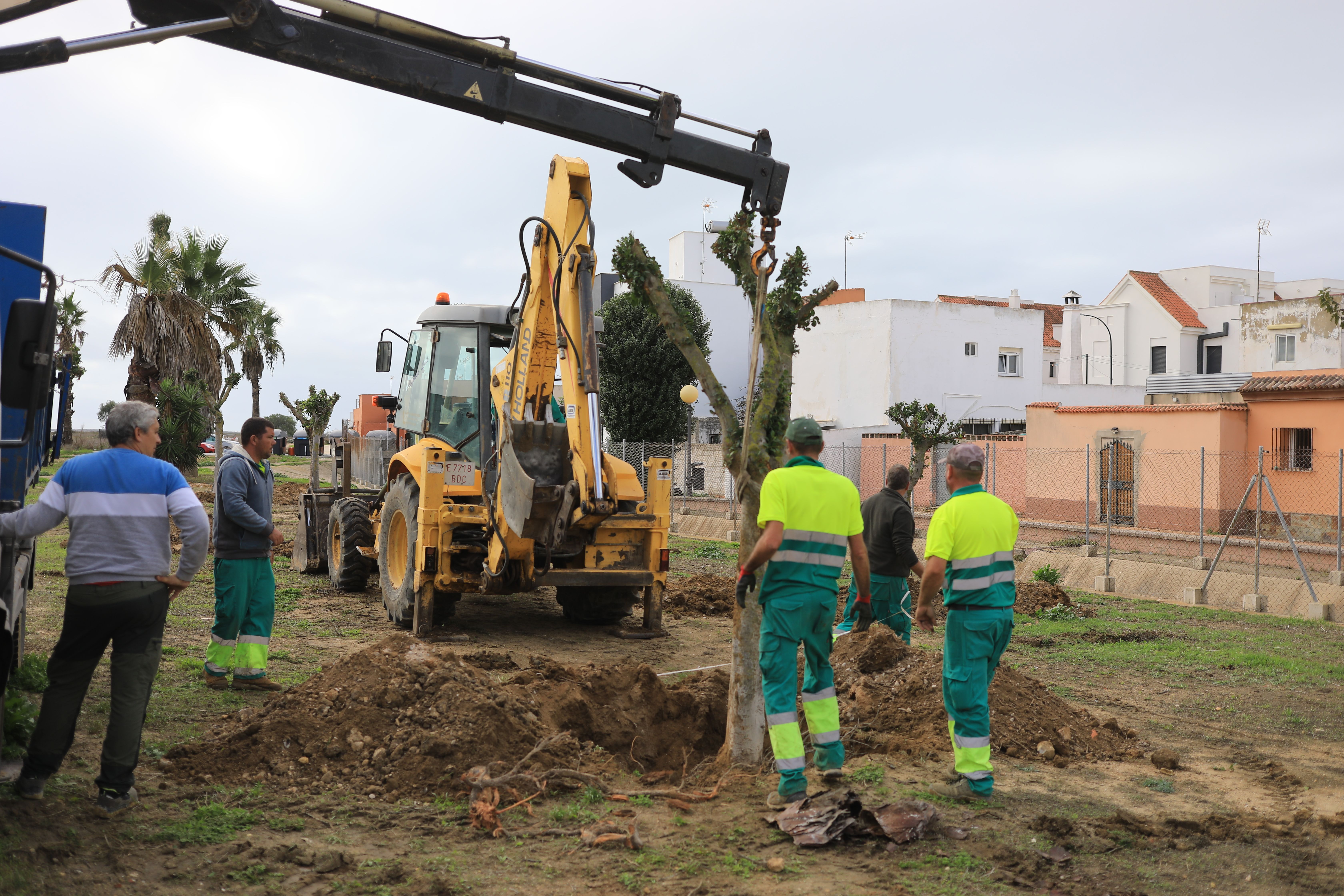 Imagen del trasplante de un árbol en San Fernando.