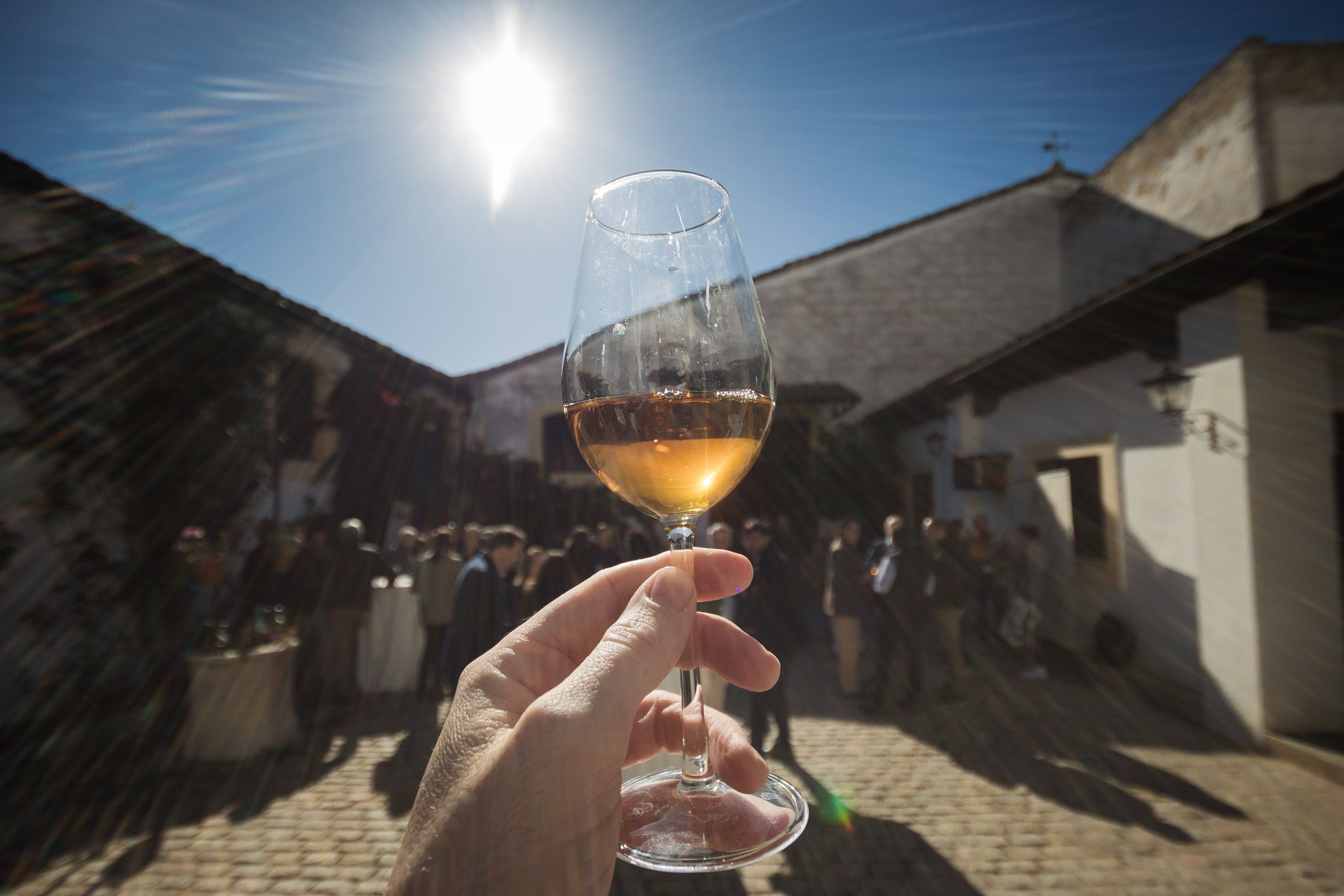 El Amontillado VOS resplandeciendo a la luz del sol.       MANU GARCÍA