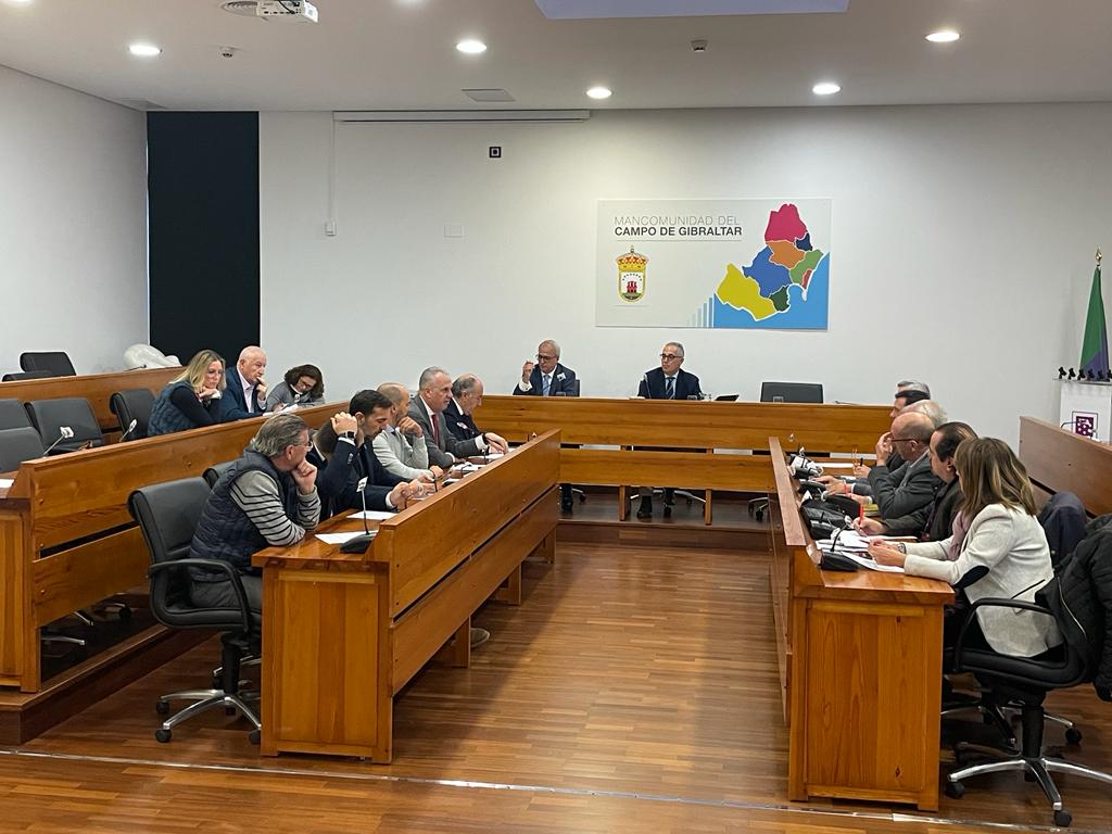 El Pleno del Consejo Económico y Social del Campo de Gibraltar. DIPUTACION CADIZ