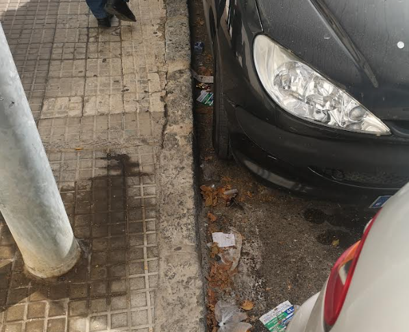 visita pp los naranjos 2