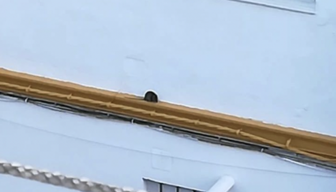 La barriada de La Vid y Las Viñas en Jerez se enfrenta a una plaga de ratas.