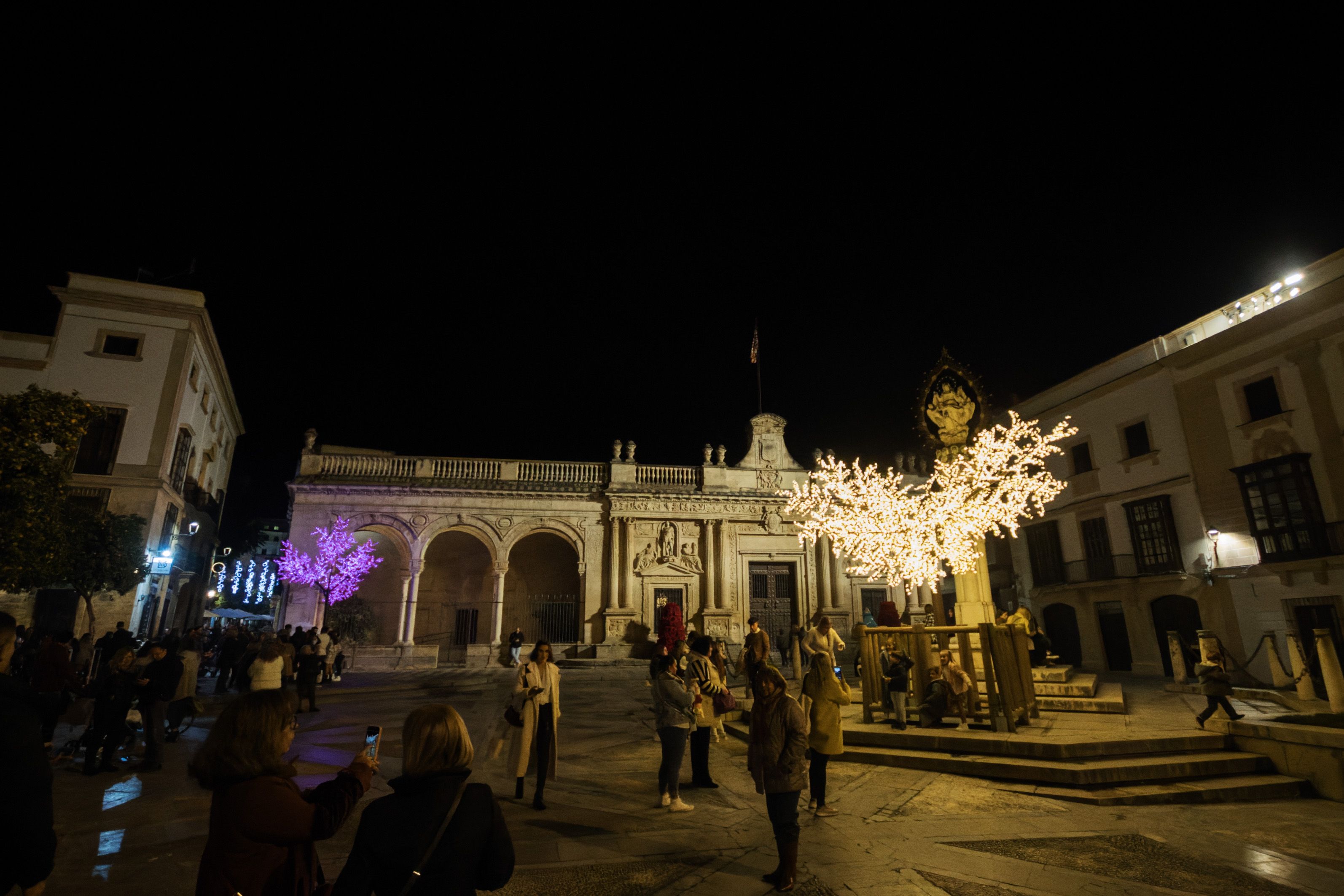 Encendido del alumbrado navideño en Jerez 19 Encendido del alumbrado navideño en Jerez 19