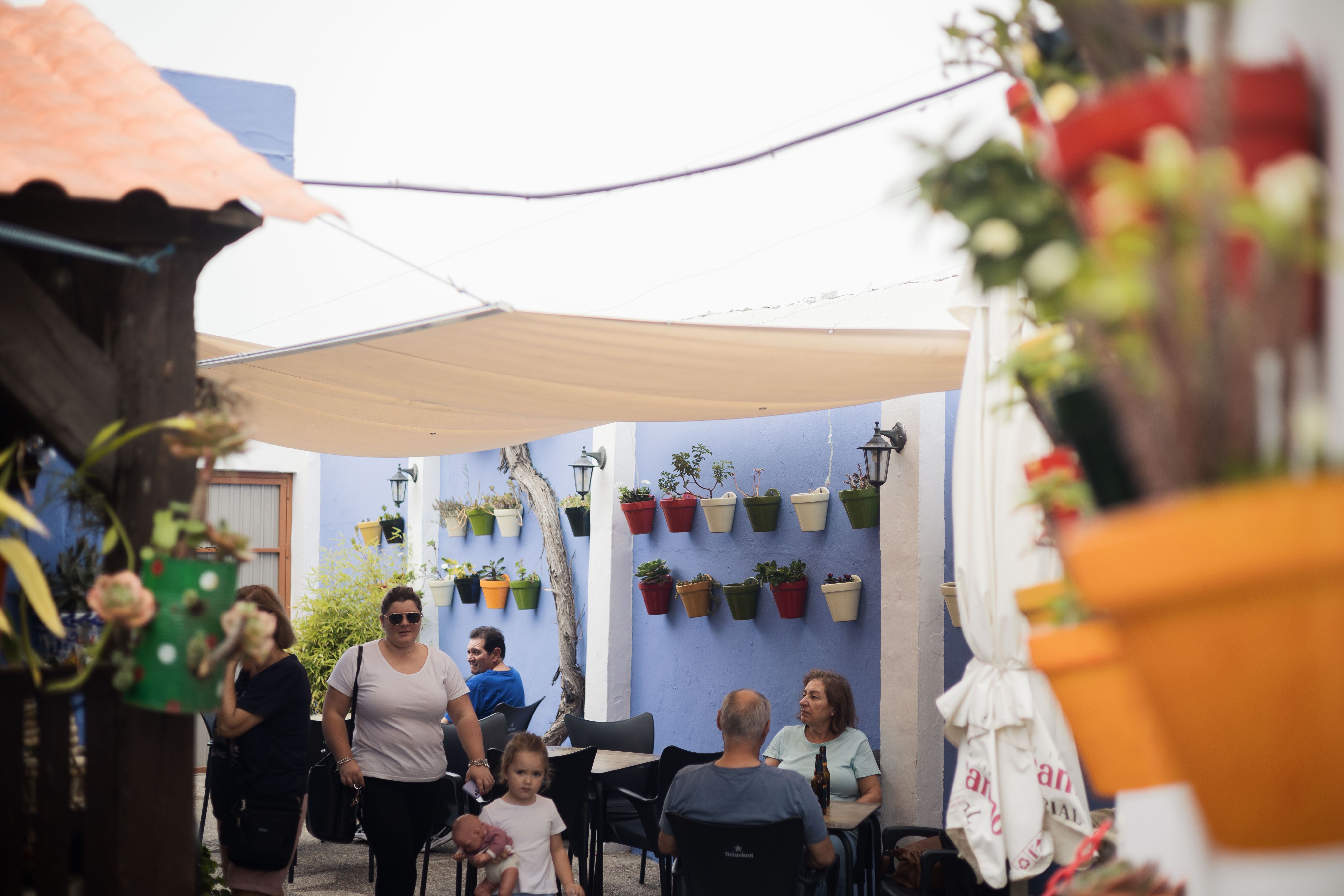 CASA MIGUEL SAN FERNANDO 5