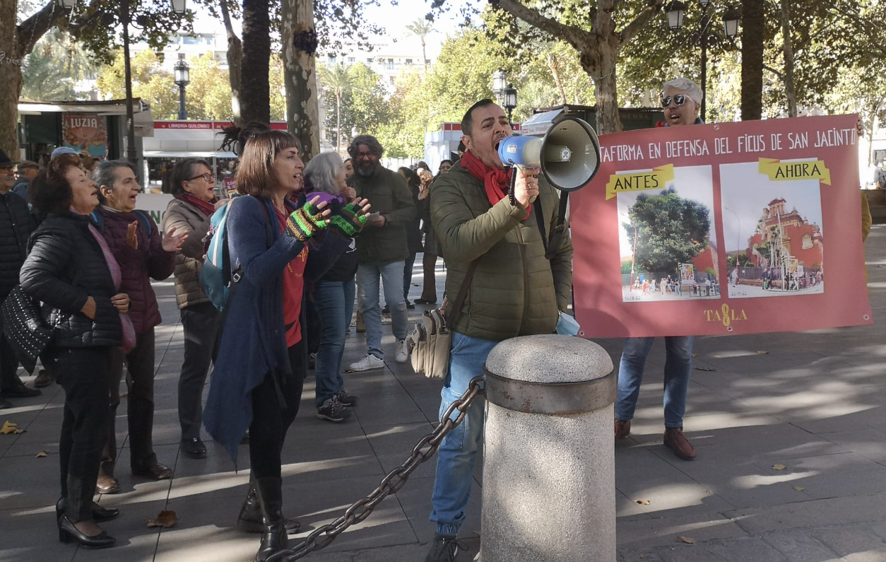 La Plataforma en Defensa del Ficus de San Jacinto ha convocado una manifestación este sábado en Sevilla. La Plataforma en Defensa del Ficus de San Jacinto ha convocado una manifestación este sábado en Sevilla.