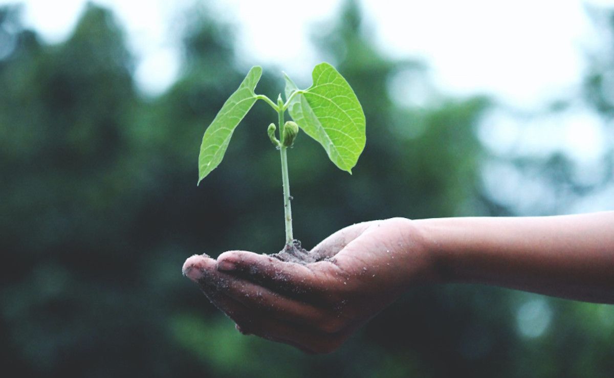 Ener2Crowd, financiación alternativa de proyectos verdes en España.