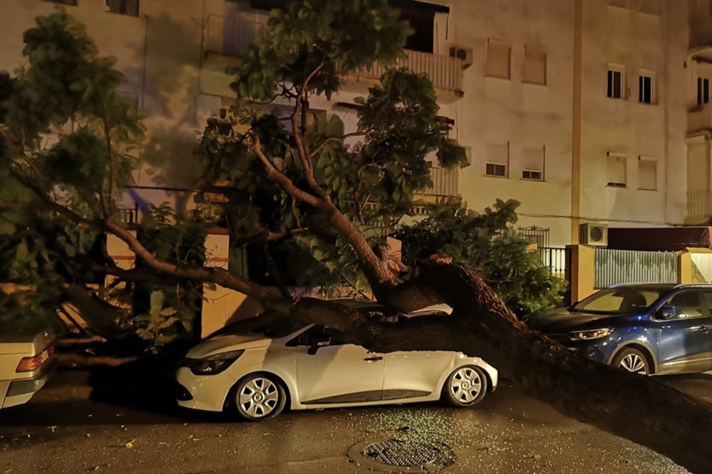 Captura de pantalla 2022 12 08 a las 19.14.03