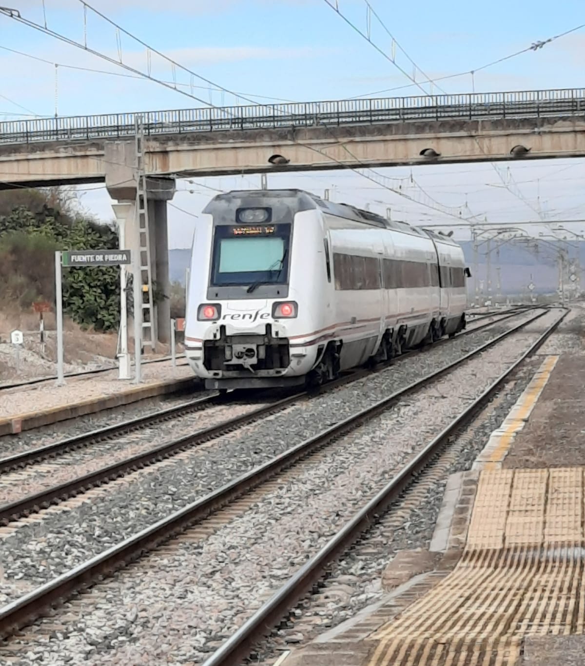 Tren de cercanías pasando por la estación de Fuente de Piedra. PLATAFORMA