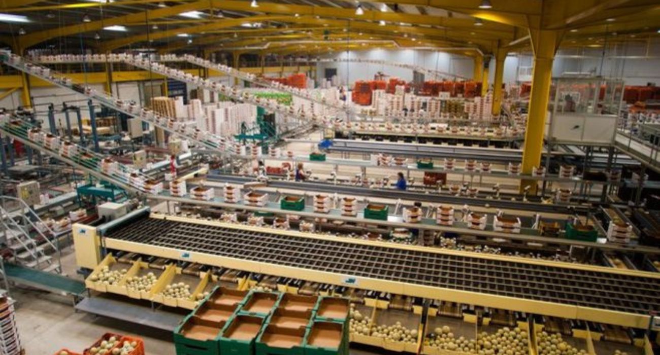 Almacén de manipulado agro alimentario en Almería. COHEXPAL