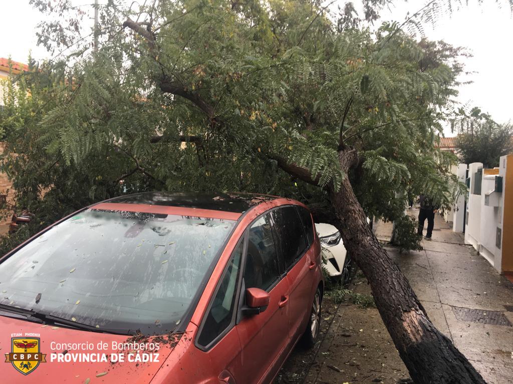 Para este viernes se espera que el viento sople con fuerza en Jerez.