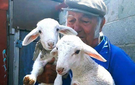 Guillermo Cana, con sus ovejas. FOTO: PORTAL DE CÁDIZ