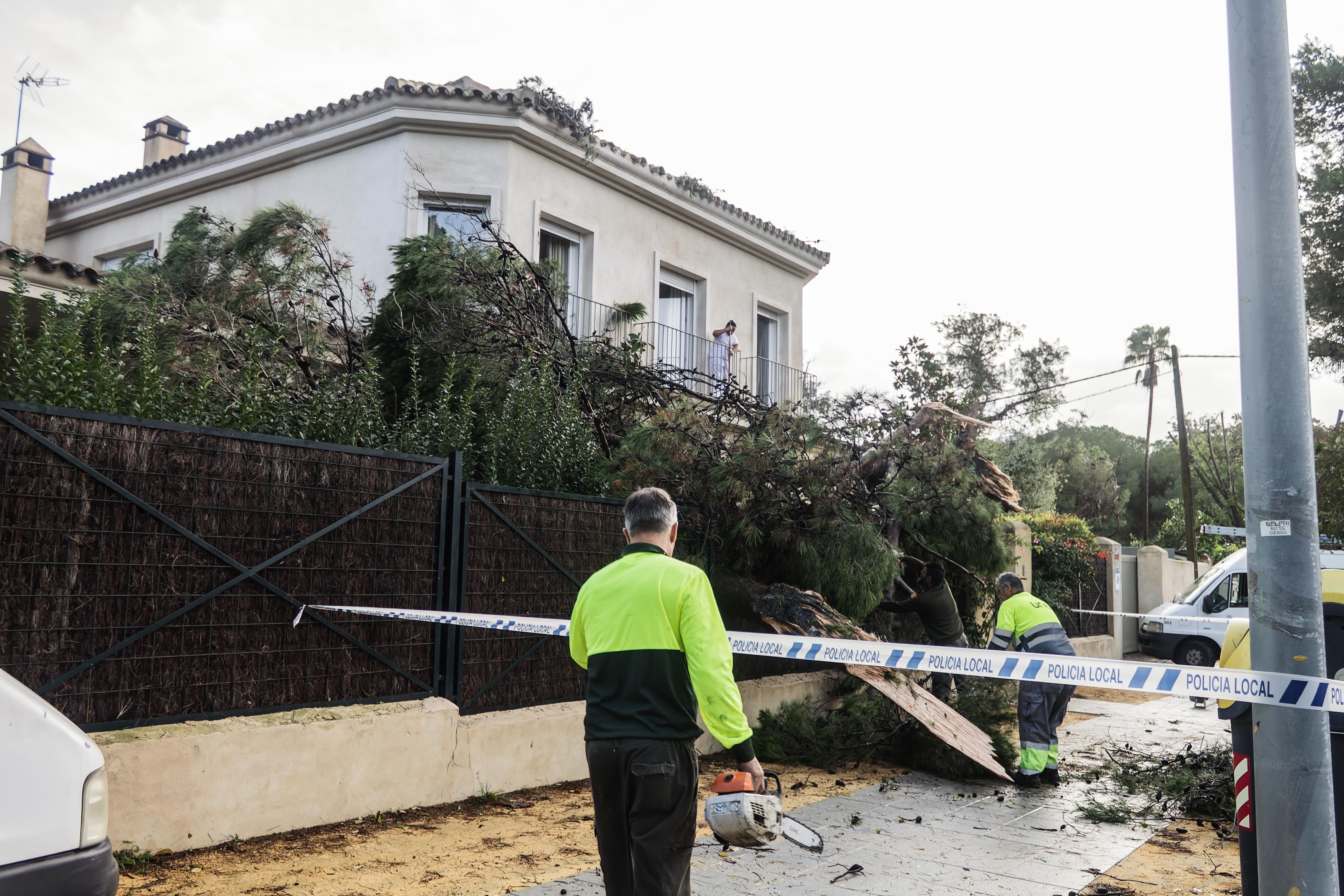 Imágenes del paso de un tornado por Jerez. La provincia de Cádiz, en alerta amarilla.
