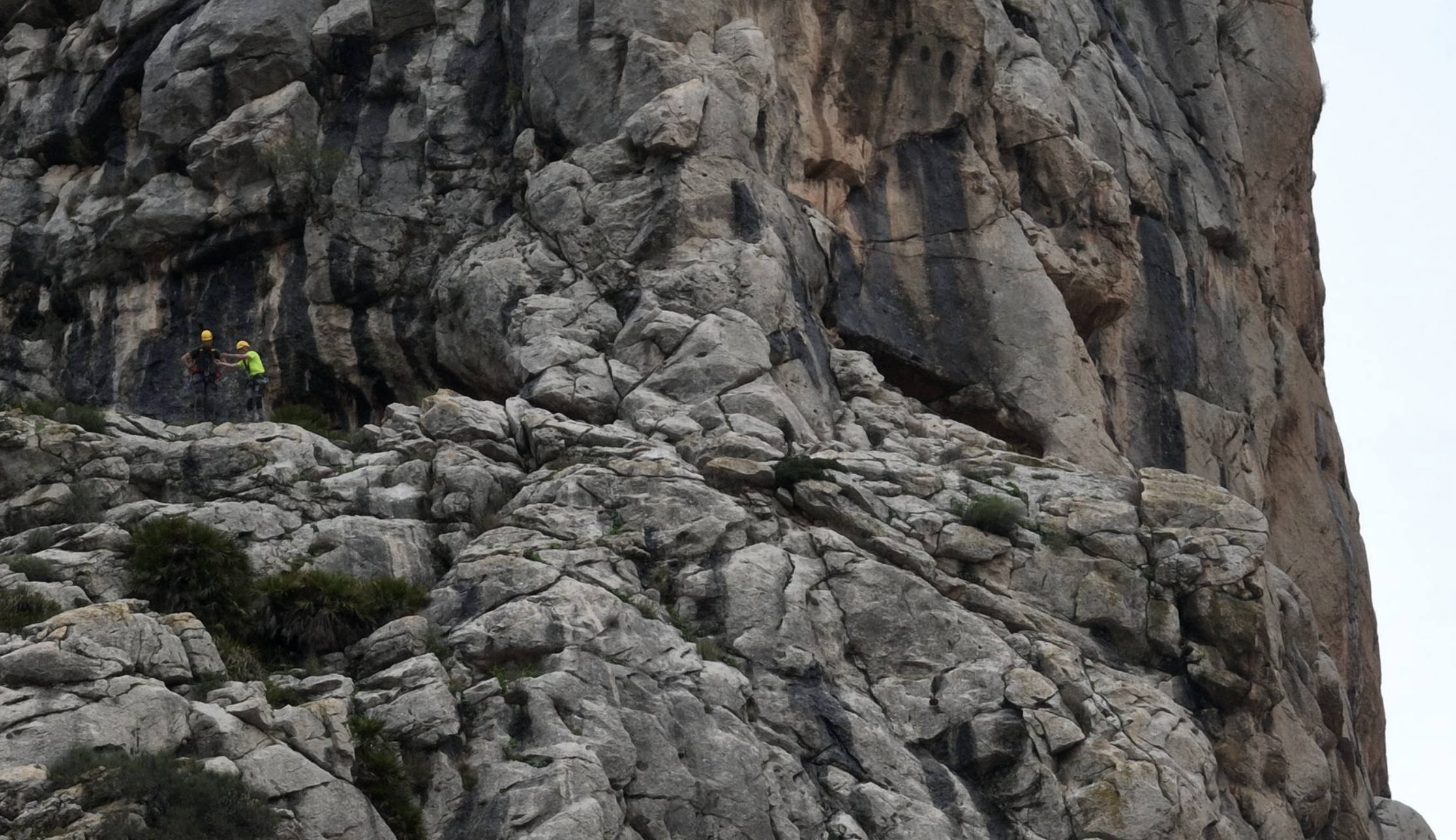 Captura de pantalla 2022 12 14 a las 17.33.47