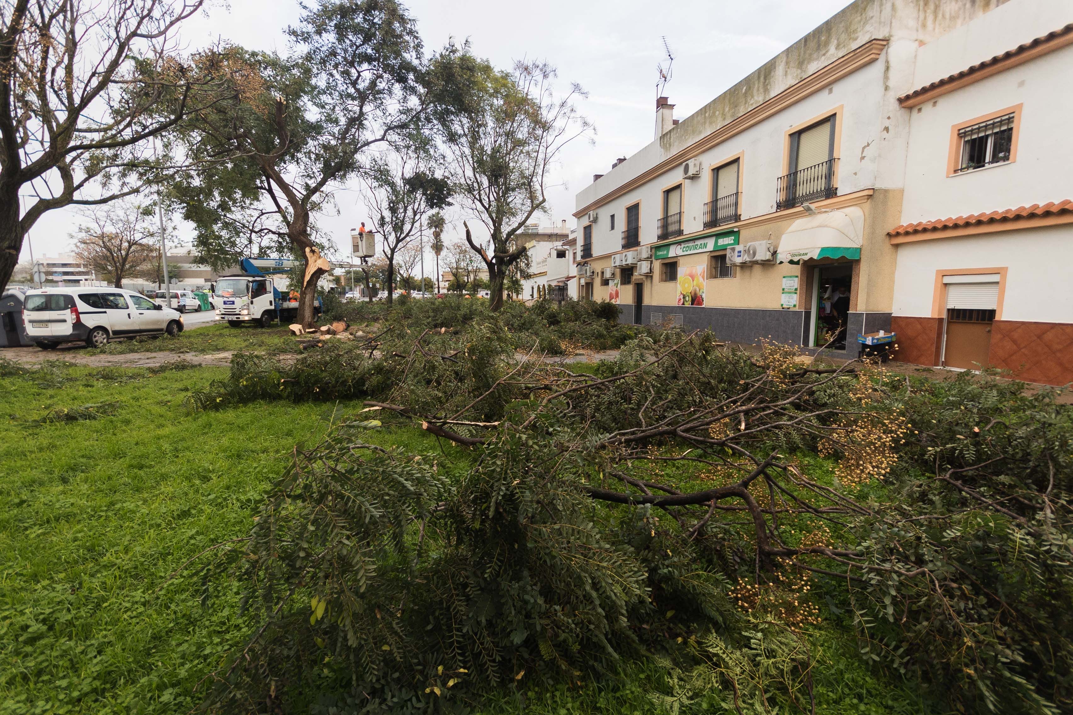 Tornado en Jerez