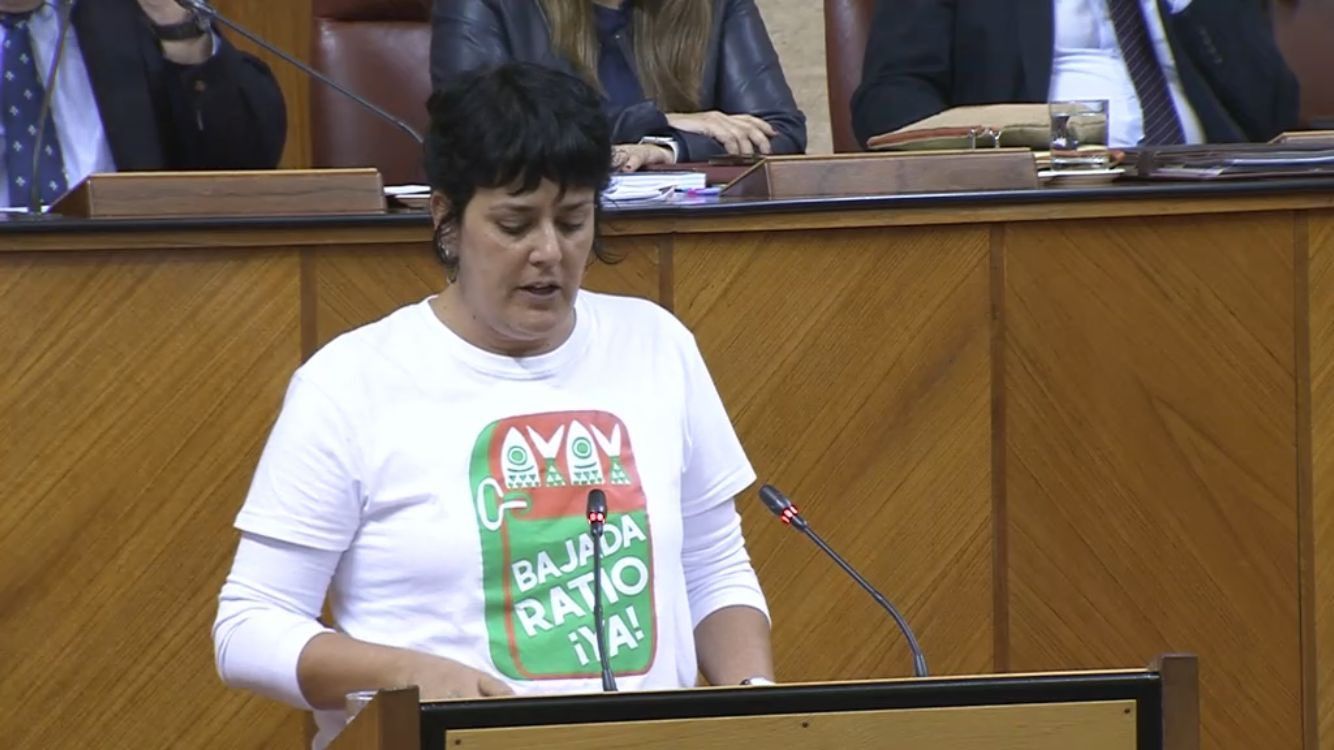 Carmen Yuste, portavoz de la plataforma que ha presentado la Inicativa Legislativa Popular para bajar la ratio en Andalucía. Carmen Yuste, portavoz de la plataforma que ha presentado la Inicativa Legislativa Popular para bajar la ratio en Andalucía.