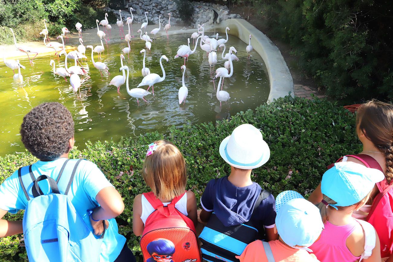 Niños, en una actividad del Zoo.