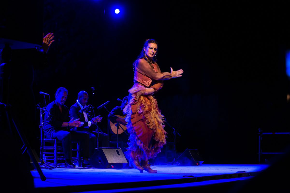 Un momento de una actuación de una edición anterior de los Viernes Flamenco.