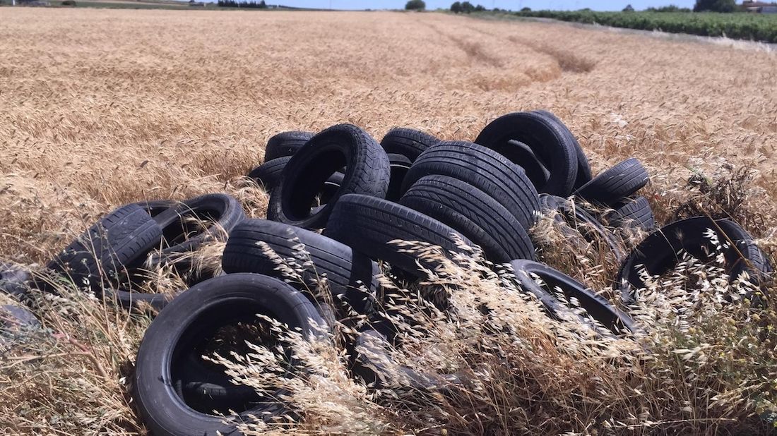 Algunos de los neumáticos vertidos en fincas de Chiclana.
