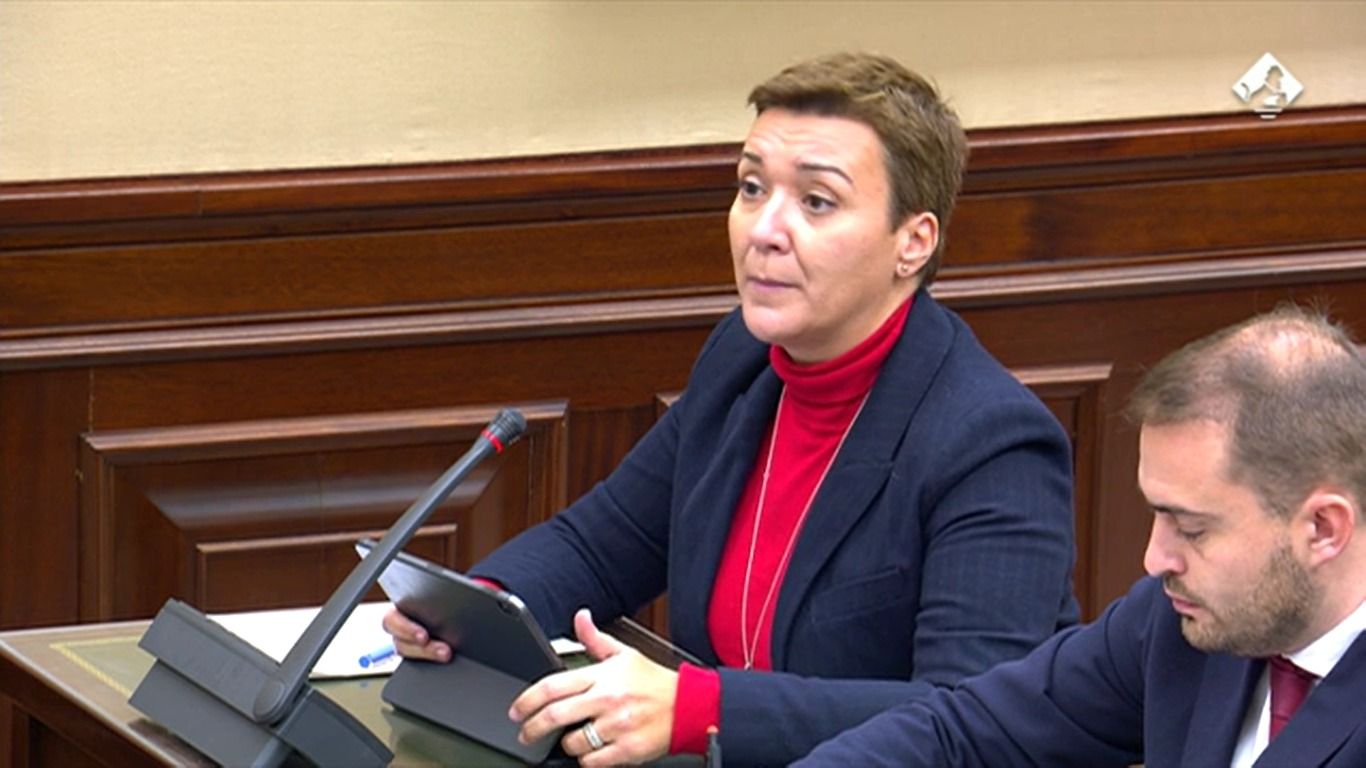 La diputada Gemma Araujo en la Comisión de Interior. PSOE CADIZ