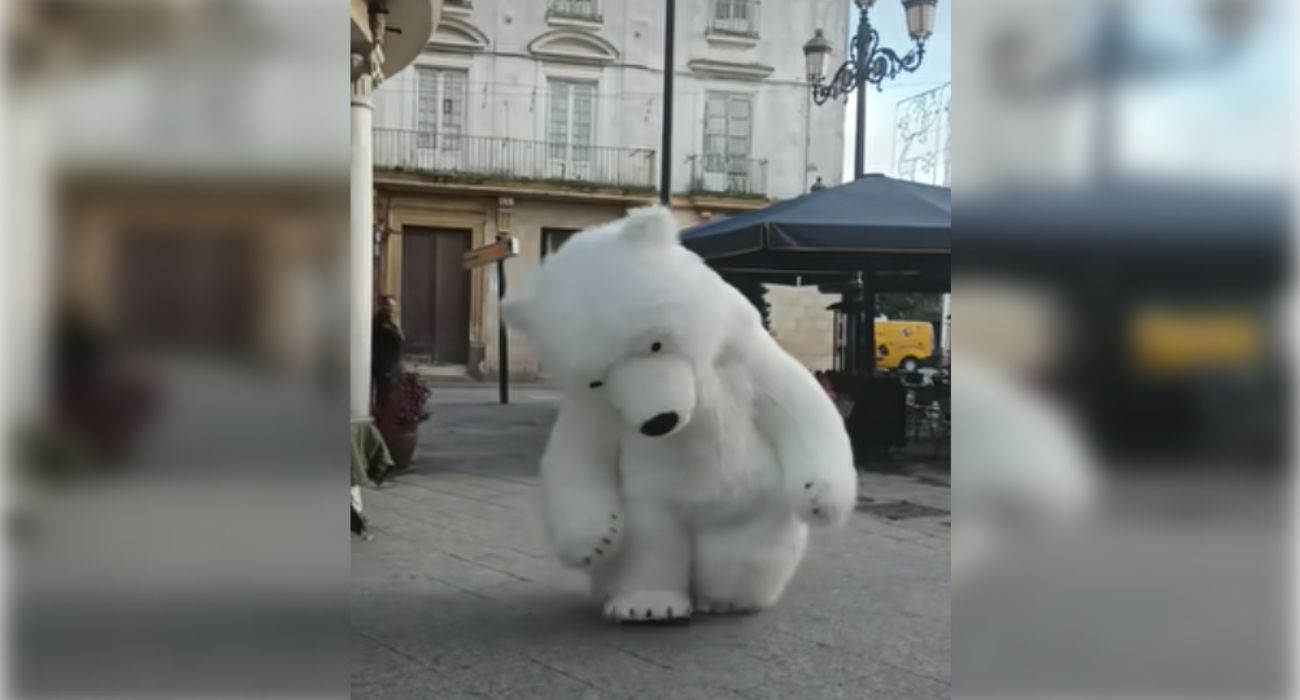 El 'oso perjudicado' de Cádiz, en el Gallo Azul de Jerez. El 'oso perjudicado' de Cádiz, en el Gallo Azul de Jerez.
