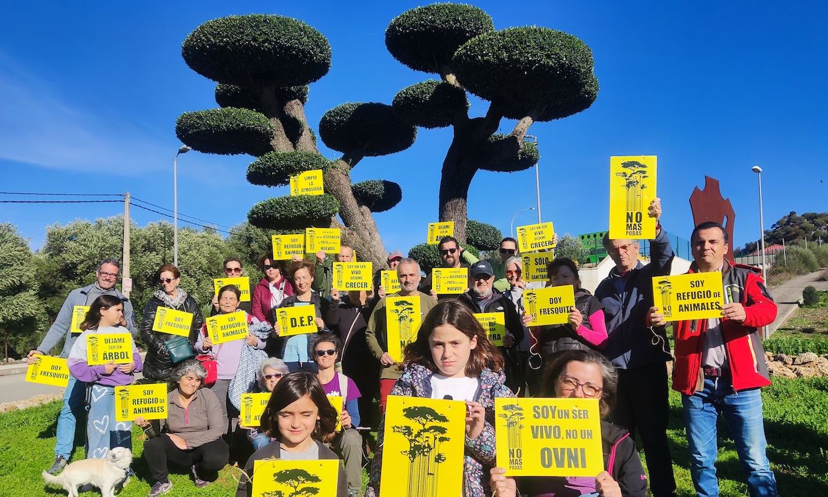 Imagen de la manifestación contra las podas "chupa-chups" y los desmoches en las poblaciones de la Sierra de Cádiz.
