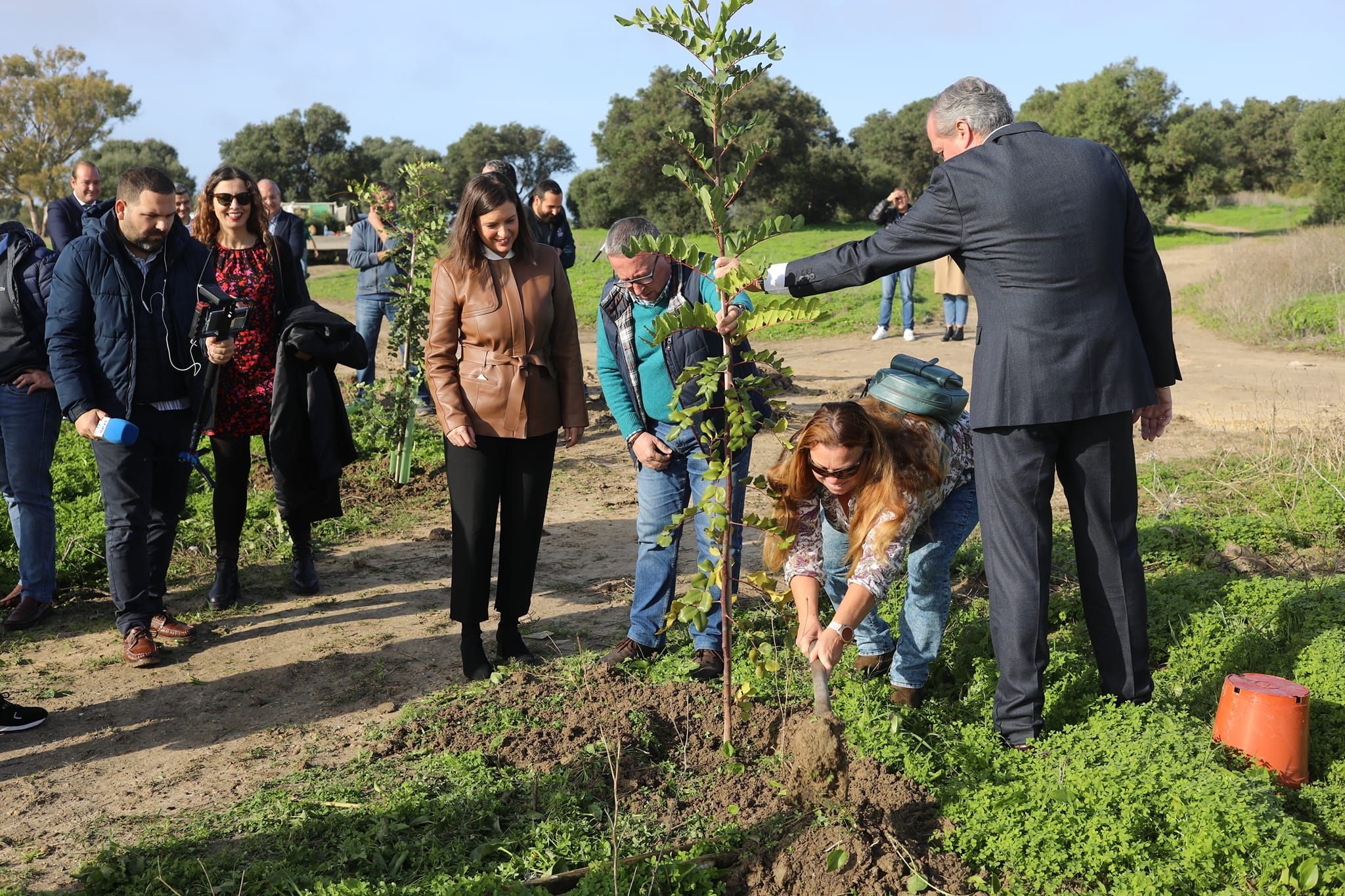 Imagen de la plantación de uno de los árboles en el Cerro de los Mártires de San Fernando.