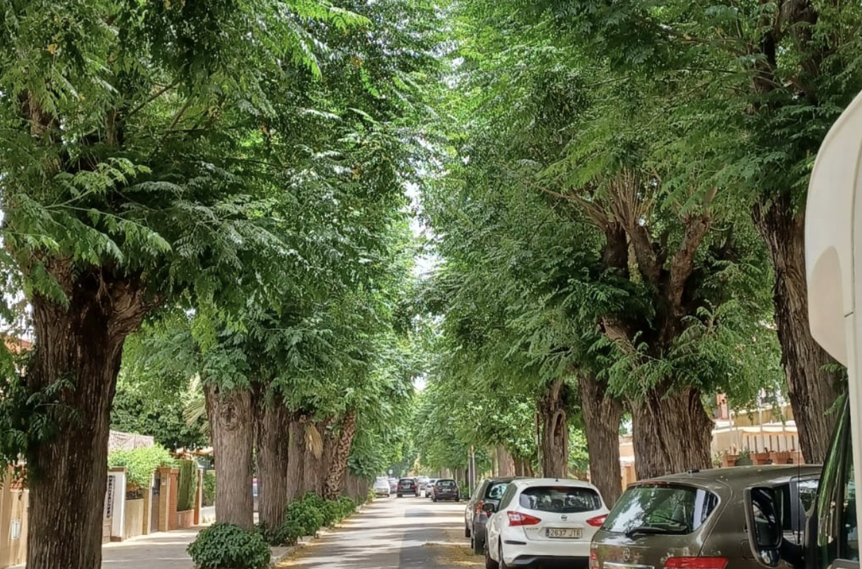 Árboles en peligro, en Tablada, en una imagen de Parque Vivo del Guadaíra.