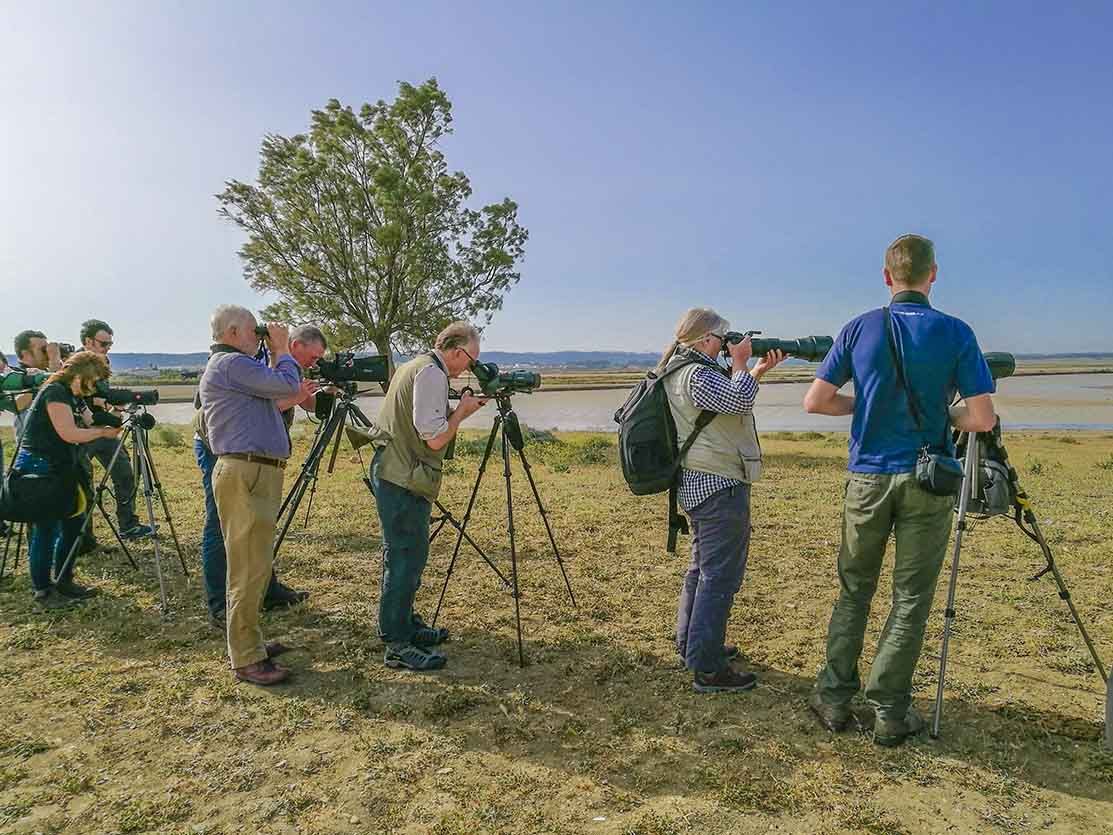 Un grupo de personas avistando aves