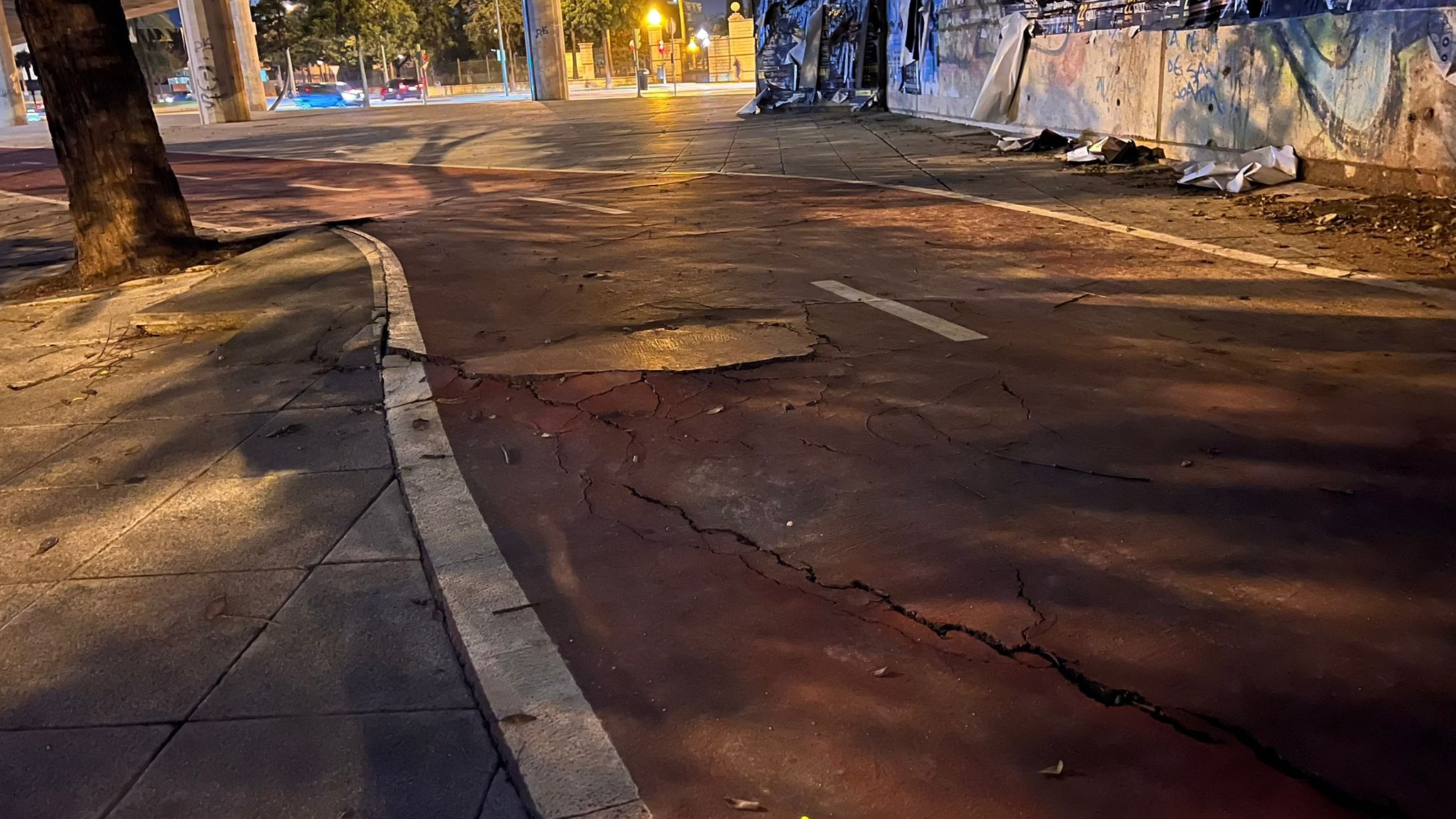 Imagen de uno de los tramos del carril bici de Jerez en muy mal estado.